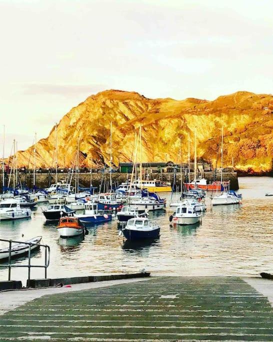 Paramount Apartments Ilfracombe, Arty Seaside Holiday Apartments Exterior foto